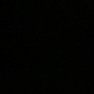 Meet your Posher, Sammy